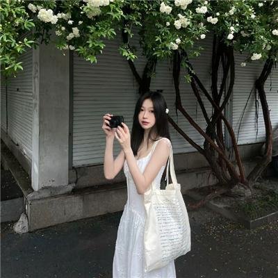 伏妖开封府之御猫展昭